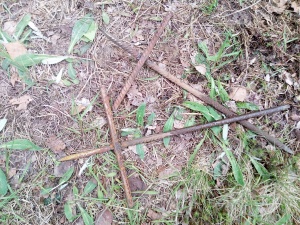 БРАКОНЬЕРЫ ОБЪЯВИЛИ ВОЙНУ ГОСУДАРСТВЕННЫМ ИНСПЕКТОРАМ НАЦИОНАЛЬНОГО ПАРКА