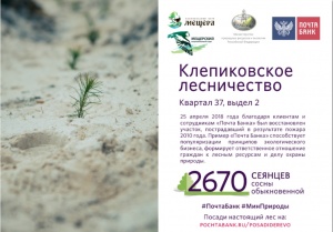 Старт лесовосстановительных работ