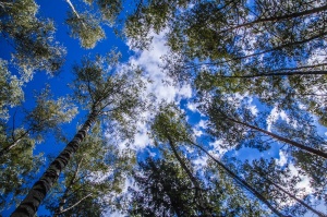 От Иваныча и Андреича