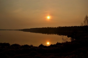Благодарность за помощь в поисках человека