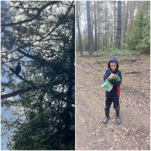 Итоги акции "Всемирные дни наблюдений птиц" - 2024