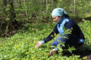 В НАЦИОНАЛЬНОМ ПАРКЕ «МЕЩЕРА» ПОДВЕЛИ ИТОГИ НАУЧНО-ИССЛЕДОВАТЕЛЬСКОЙ ДЕЯТЕЛЬНОСТИ