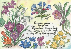 Пришла весна и  распустились первоцветы. 