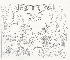 Занимательное задание №1