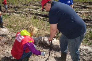 ВЕСЕННЯЯ ПОСАДКА – 2018