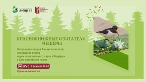 Краснокнижные обитатели Мещёры