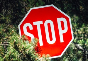 Запрет на посещение лесов в национальном парке "Мещерский"