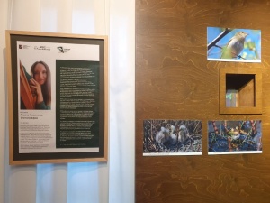 ВЫСТАВКА В МУЗЕЕ К. Г. ПАУСТОВСКОГО