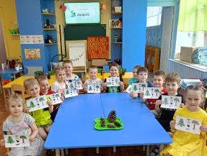 Хвойные красавицы