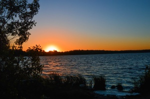 БОГАТЫ МЫ ЛЕСОМ И ВОДЬЮ