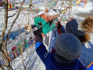 Зимняя подкормка — помощь пернатым друзьям