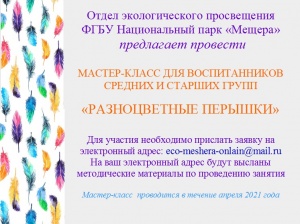 Мастер-класс "Разноцветные перышки"
