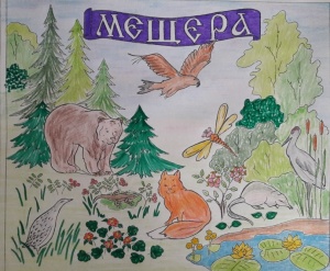 Итоги Занимательного задания №1 