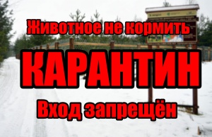 Внимание! Карантин!