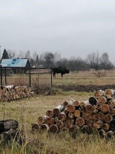 МЕРЫ ПРИНЯТЫ