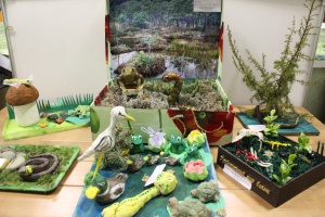 Этот удивительный мир болот!