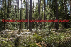 Отмена особого противопожарного режима