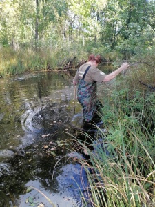 Поиски реликтового зверька в национальном парке «Мещерский»