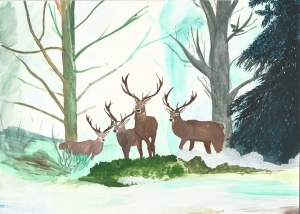 КРАСНАЯ КНИГА В РИСУНКАХ ДЕТЕЙ