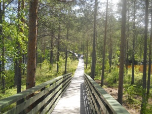 КАРЕЛИЯ @ ЛАПЛАНДИЯ = «ДРУЖБА»