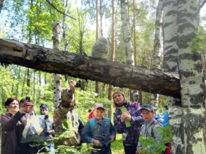 Весенние сюрпризы для внимательных