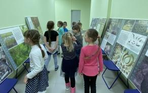 Выставка  « Мещера заповедная»