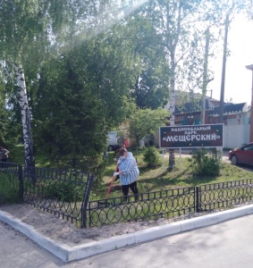 АКЦИЯ В ЧЕСТЬ ДНЯ ЭКОЛОГА