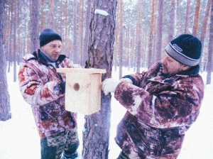  У пернатых решился квартирный вопрос.