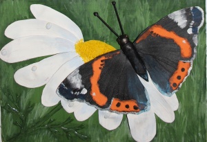 Бабочки вокруг нас