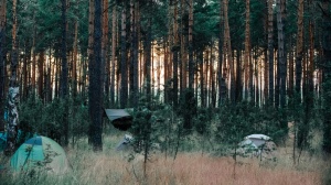 СТУДЕНТЫ МОСКОВСКИХ ВУЗОВ В НАЦИОНАЛЬНОМ ПАРКЕ «МЕЩЕРА»