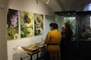 Край мещерский. Край заповедный