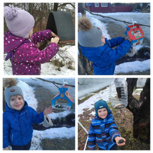 Итоги акции «Помоги птицам!» - 2026