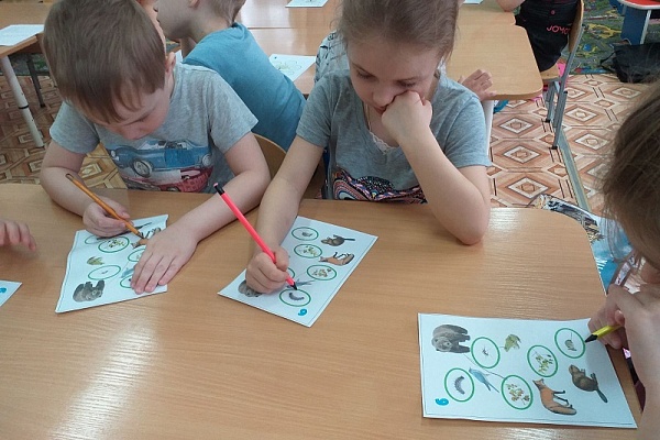 «В гостях у природы...»