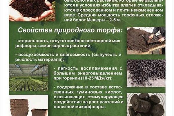 ВИЗИТ ПРЕДСТАВИТЕЛЕЙ  WETLANDS INTERNATIONAL В                      НАЦИОНАЛЬНЫЙ ПАРК «МЕЩЕРА» 