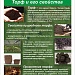 ВИЗИТ ПРЕДСТАВИТЕЛЕЙ  WETLANDS INTERNATIONAL В                      НАЦИОНАЛЬНЫЙ ПАРК «МЕЩЕРА» 