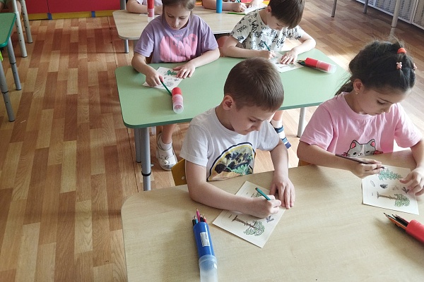 Хвойные красавицы