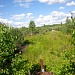 БОЛОТА СПАСАЮТ ОТ ПОЖАРОВ