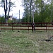 ДЕНДРАРИЙ В ПОС. УРШЕЛЬСКИЙ