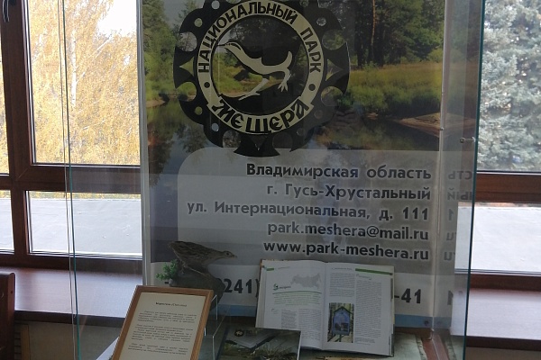 ПТИЦЫ МЕЩЁРЫ