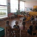 Хвойные красавицы