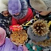 Итоги межрегиональной акции «Помоги птицам»