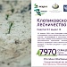 Старт лесовосстановительных работ