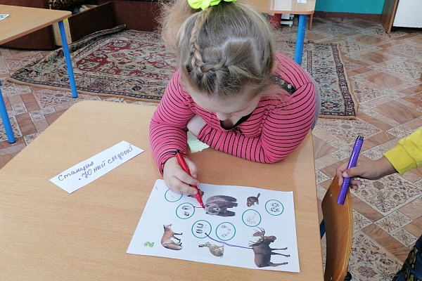 «В гостях у природы...»