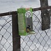 БОЛЕЕ 4,5 ТЫСЯЧ ЧЕЛОВЕК ПОМОГЛИ ПТИЦАМ ЭТОЙ ЗИМОЙ