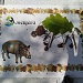 День охраны окружающей среды 2025