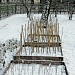Петровские дубы в Мещере
