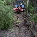 В ЛЕСУ ПОЖАРА НЕ БУДЕТ