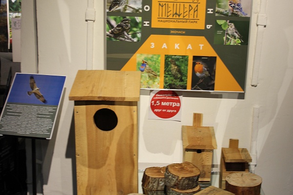 Край мещерский. Край заповедный