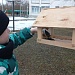 Зимняя подкормка — помощь пернатым друзьям