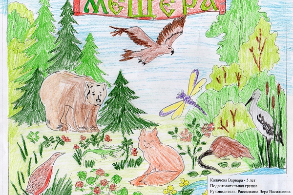 Итоги Занимательного задания №1 